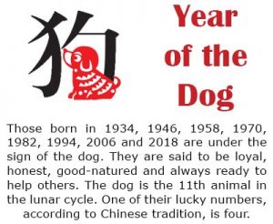 is 2019 year of the dog