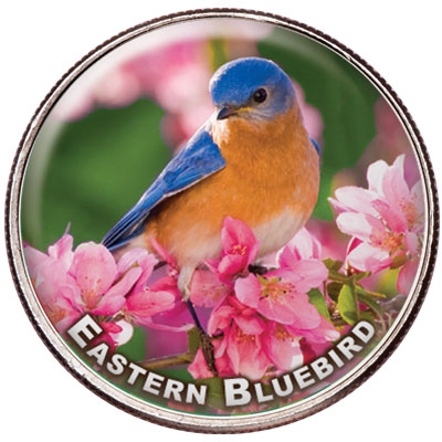 Backyard Birds Colorized Coin, Eastern Bluebird - Littleton Coin Blog