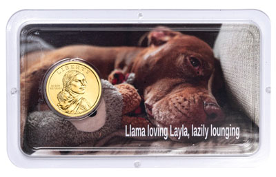 Josh's dog on a custom coin Native American dollar showpak - Littleton Coin Blog