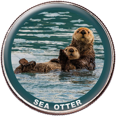 Sea Otter Colorized Kennedy Half Dollar - Littleton Coin Blog