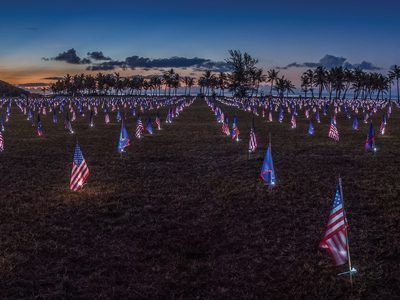 A Coin Salute this Memorial Day - Littleton Coin Company Blog