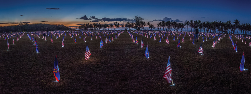 A Coin Salute this Memorial Day - Littleton Coin Company Blog