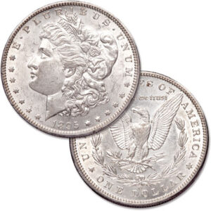 1895 Morgan Dollar - Littleton Coin Blog