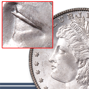 Alligator Eye Morgan Dollar - Littleton Coin Blog