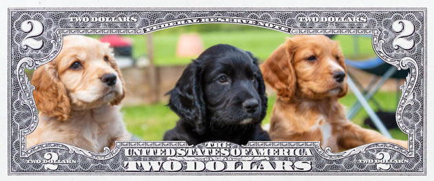 Dogs on the $2 Note - LIttleton Coin Blog