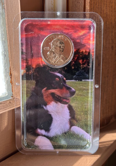Maggie on a Native American Dollar Showpak - Littleton Coin Blog