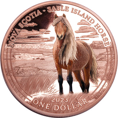 2023 Sable Island Horse Copper Dollar - Littleton Coin Blog