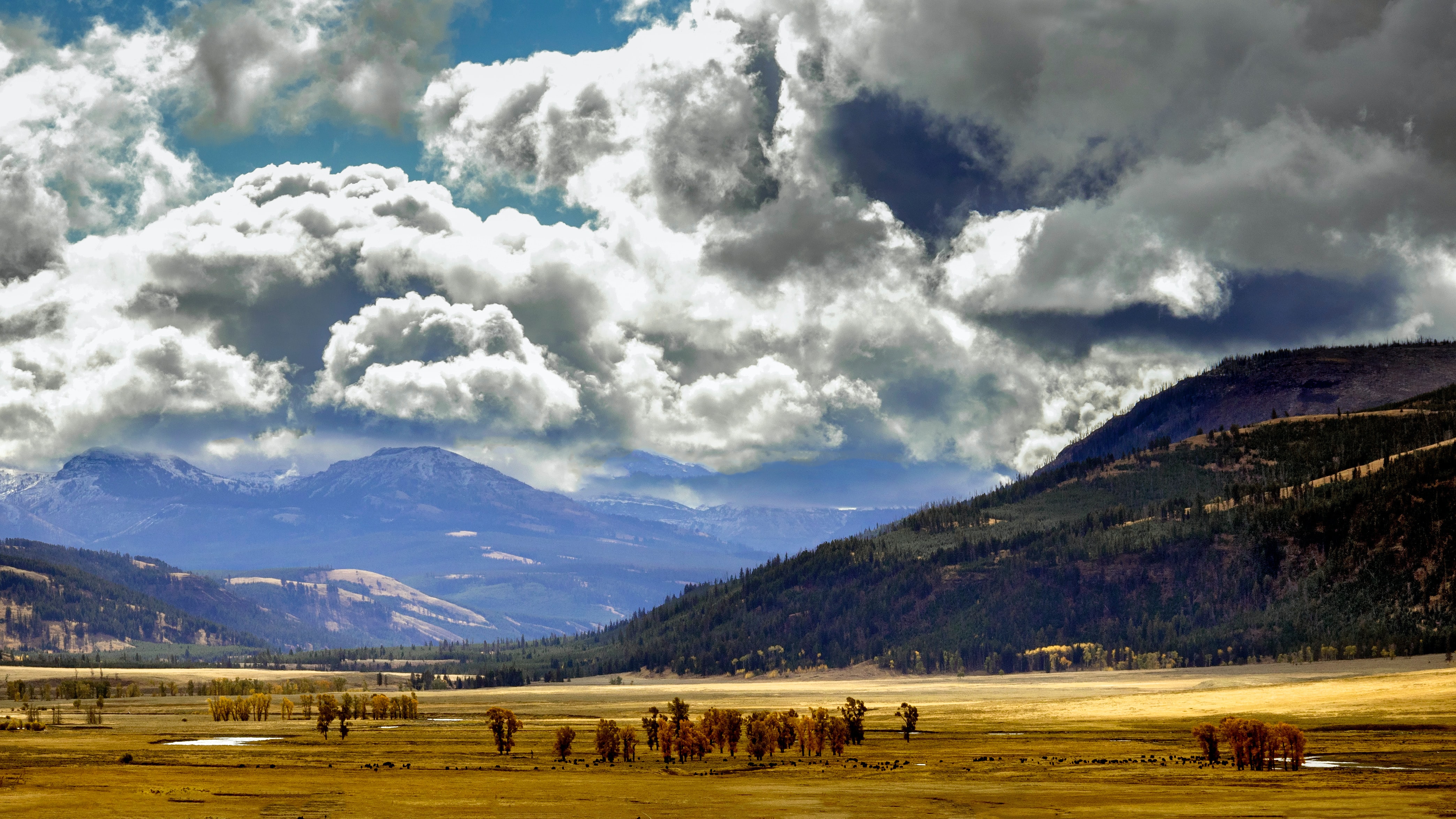 150 Years of Preservation 'For the People' Happy Birthday, Yellowstone! – Littleton Coin Company Blog